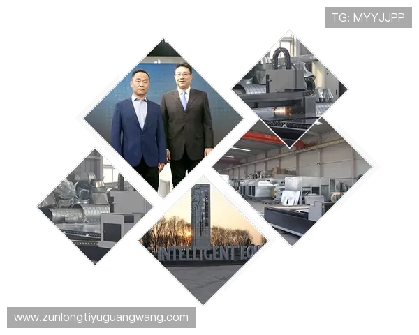 深度解析尊龙凯时官网地址及其背后的运营模式