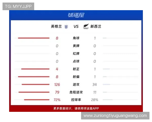 世界杯新西兰比利时比赛数据表详解：控球率、射门次数与战术分析