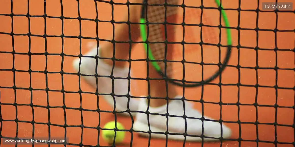 体育真人电子殿堂：赛事视讯经典结合，全面升级体验